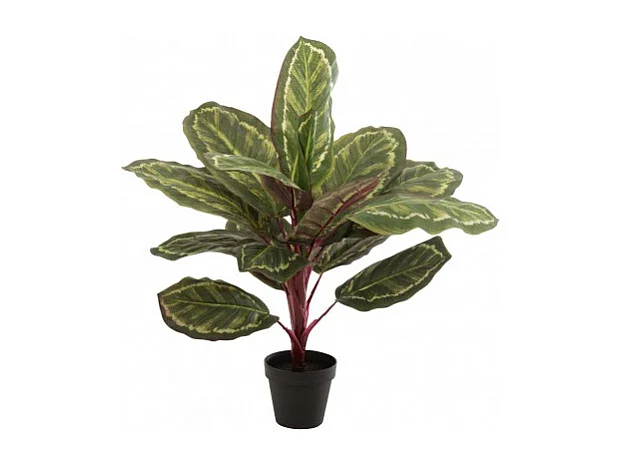 Plante Artificielle en Pot "Peacock" 60cm Vert