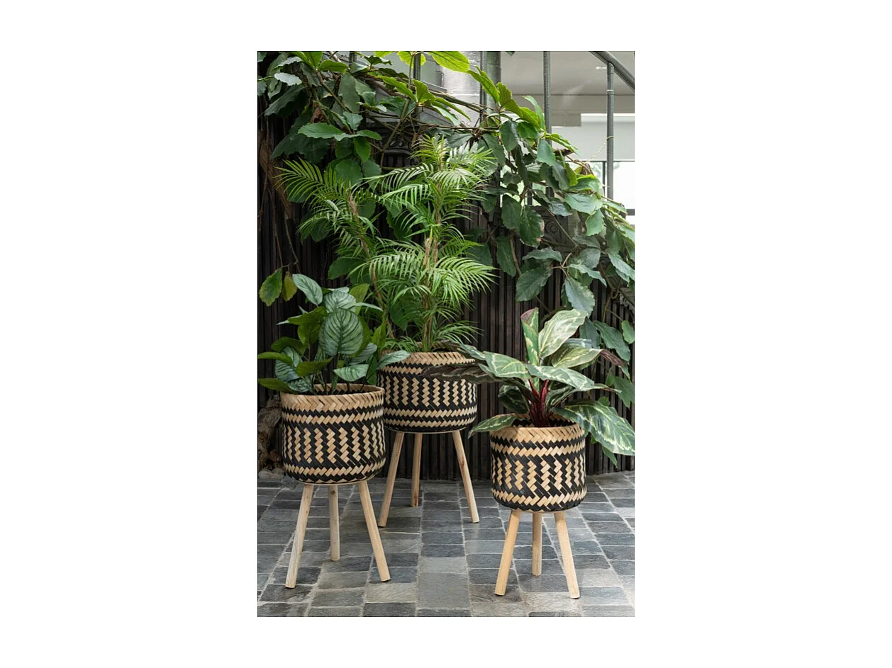 Plante Artificielle en Pot "Peacock" 60cm Vert