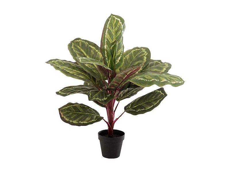 Pavone in vaso di plastica verde 26x15x67 cm