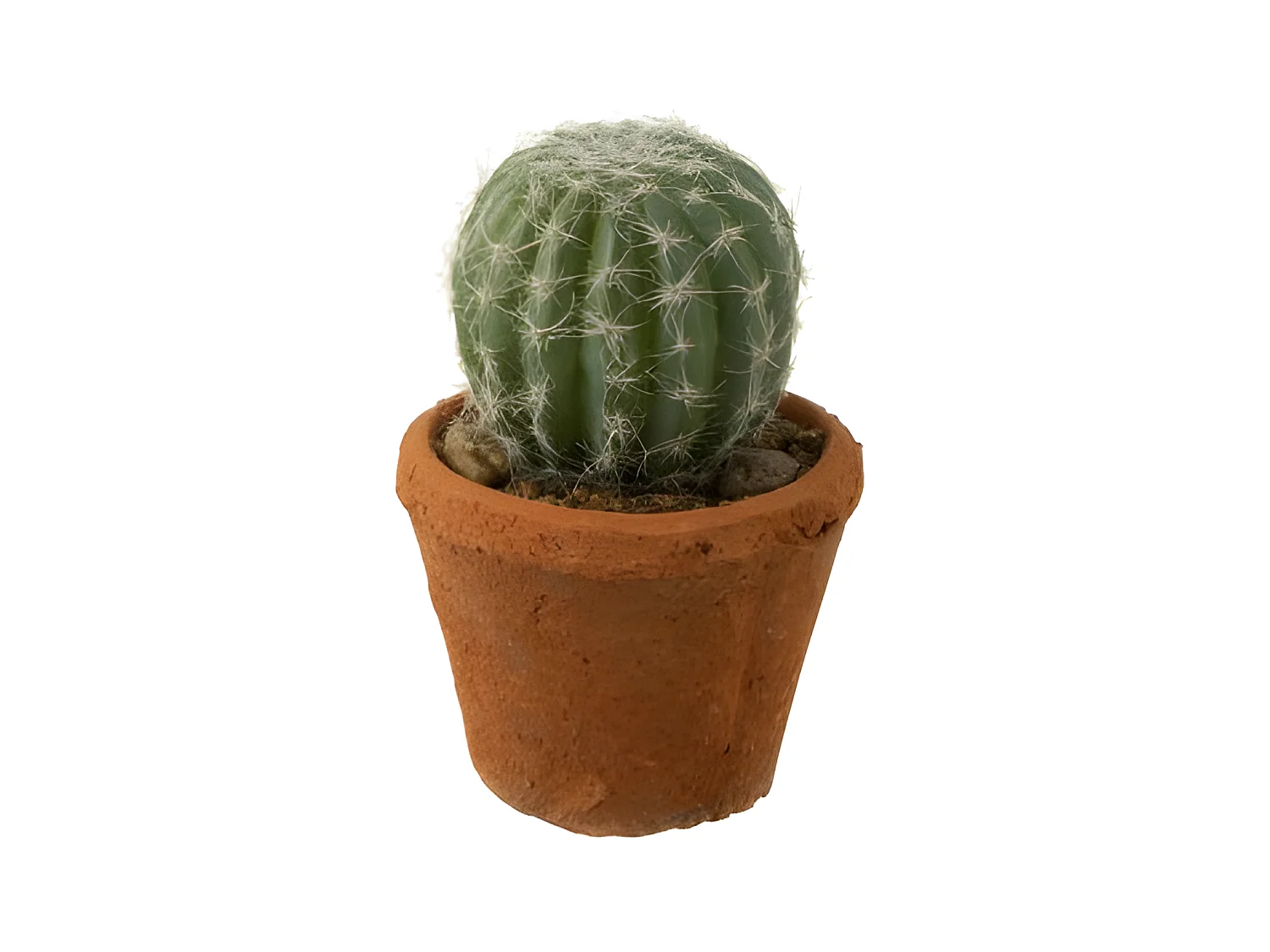 Cactus artificiale rotondo in vaso di plastica verde 11x11x15 cm