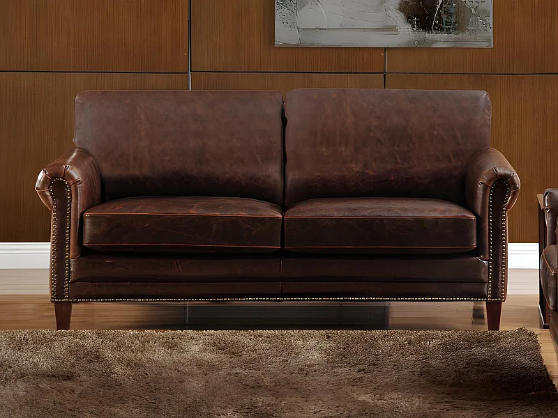 CASSANDRA 2-sitssoffa i åldradt läder - Brun