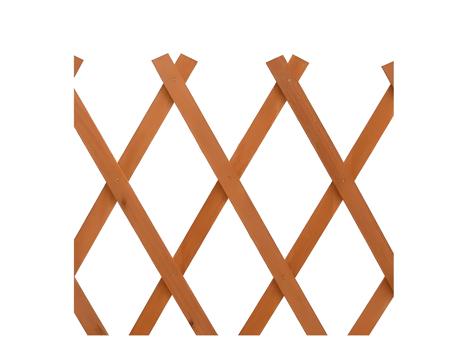 Valla de jardín enrejada madera maciza abeto naranja 120x60 cm