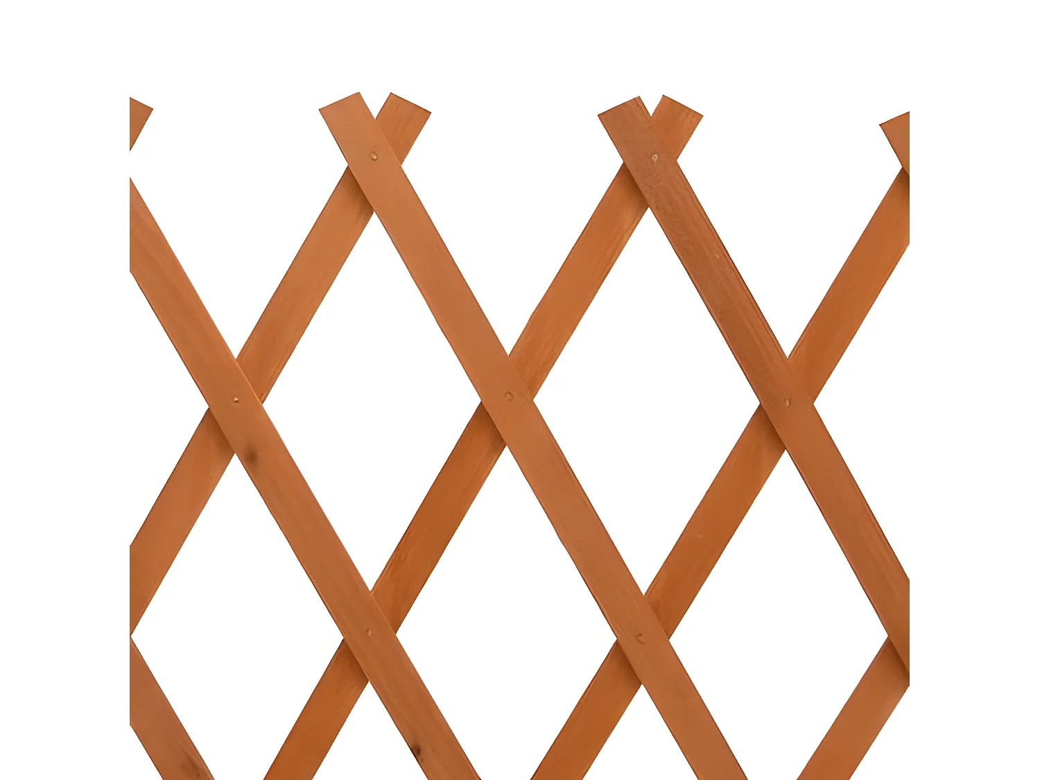 Garten-Rankzaun Orange 120x60 cm Massivholz Tanne