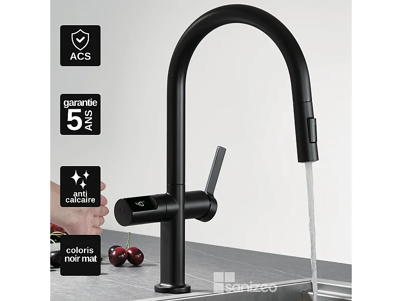 Mitigeur Évier Cuisine/Écran avec douchette extractible noir mat - Design moderne – TURIN IMEX