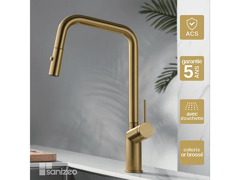 Mitigeur Évier Cuisine avec douchette extractible or brossé - Design moderne – BONN IMEX