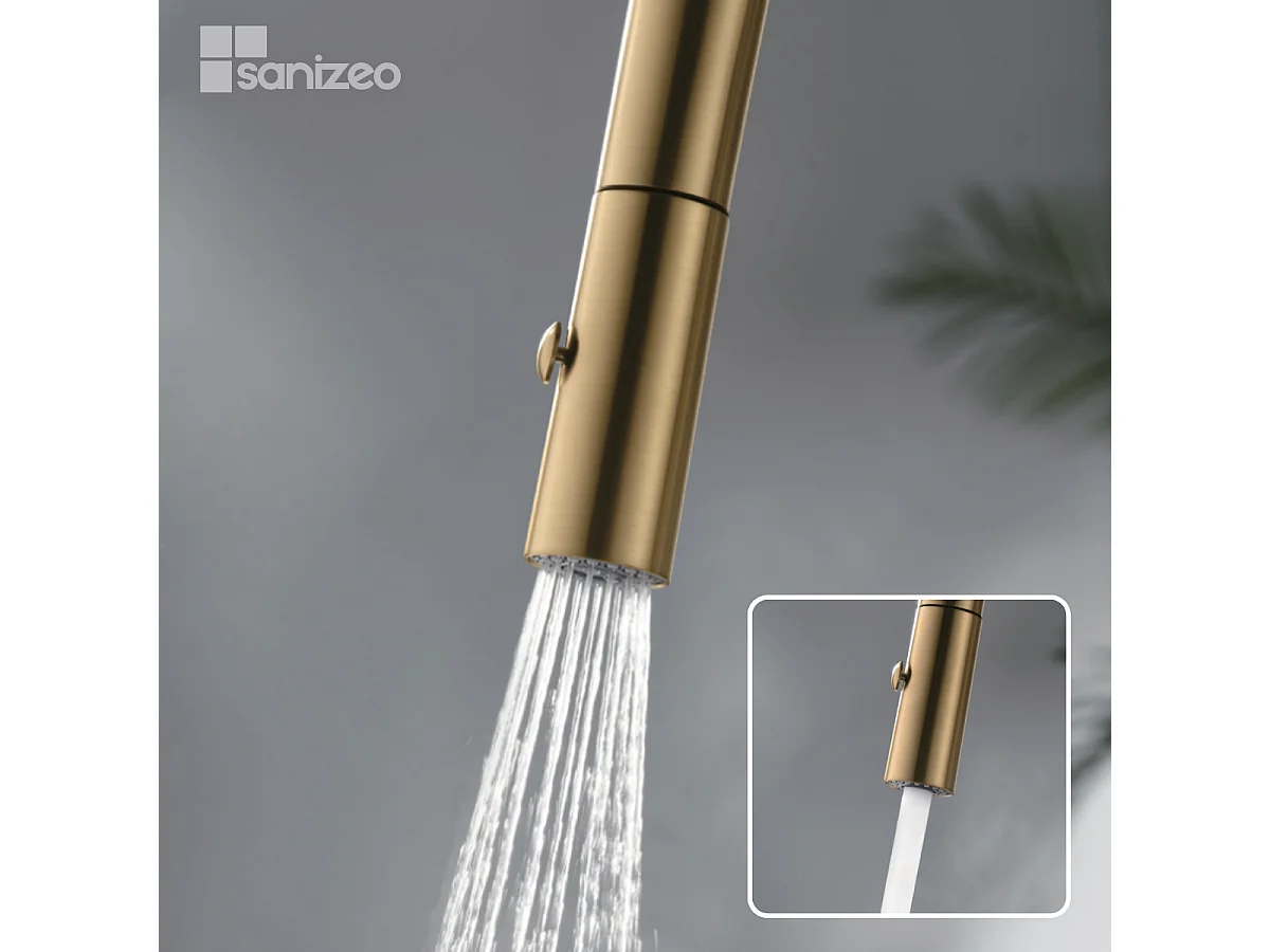 Mitigeur Évier Cuisine avec douchette extractible or brossé - Design moderne – BONN IMEX