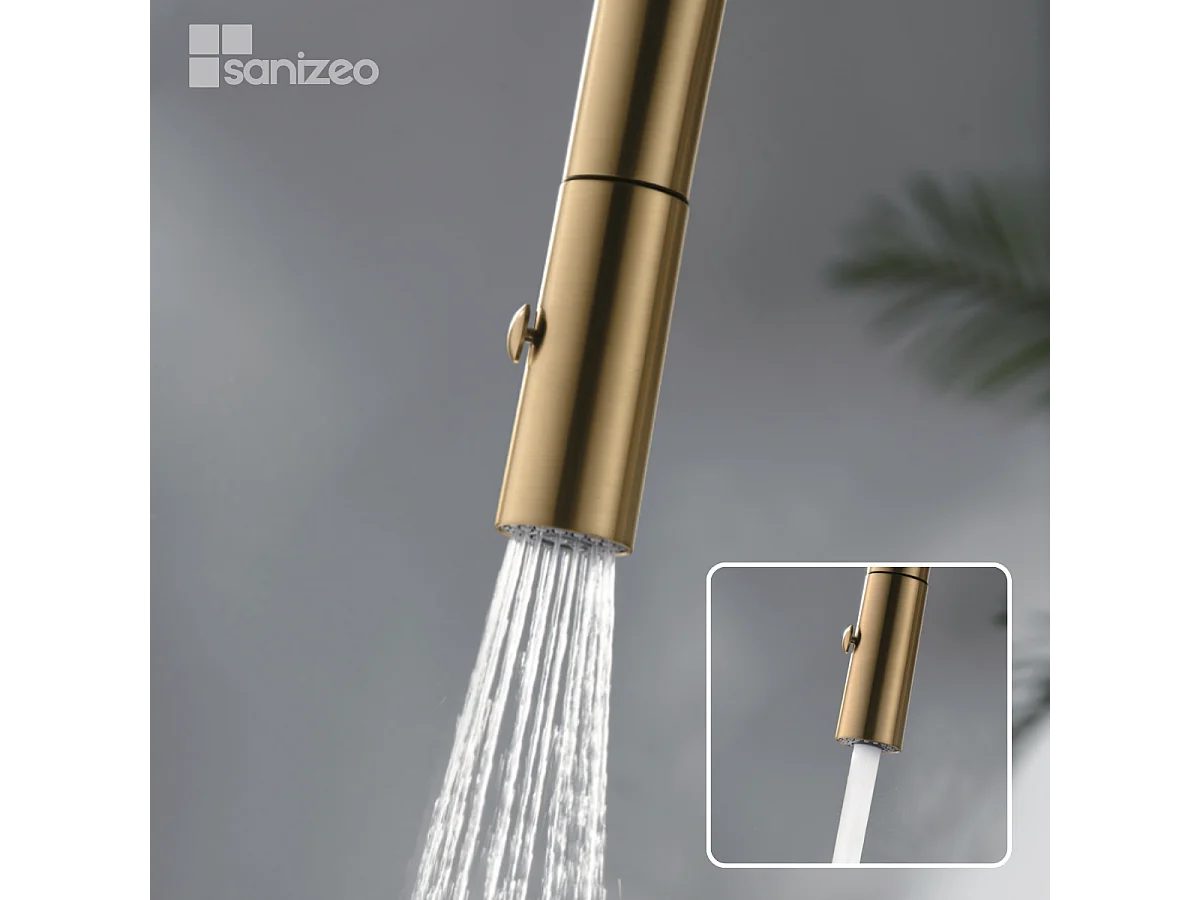 Mitigeur Évier Cuisine avec douchette extractible or brossé - Design moderne – BONN IMEX