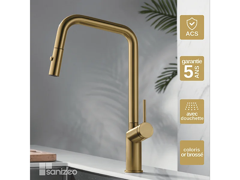 Mitigeur Évier Cuisine avec douchette extractible or brossé - Design moderne – BONN IMEX