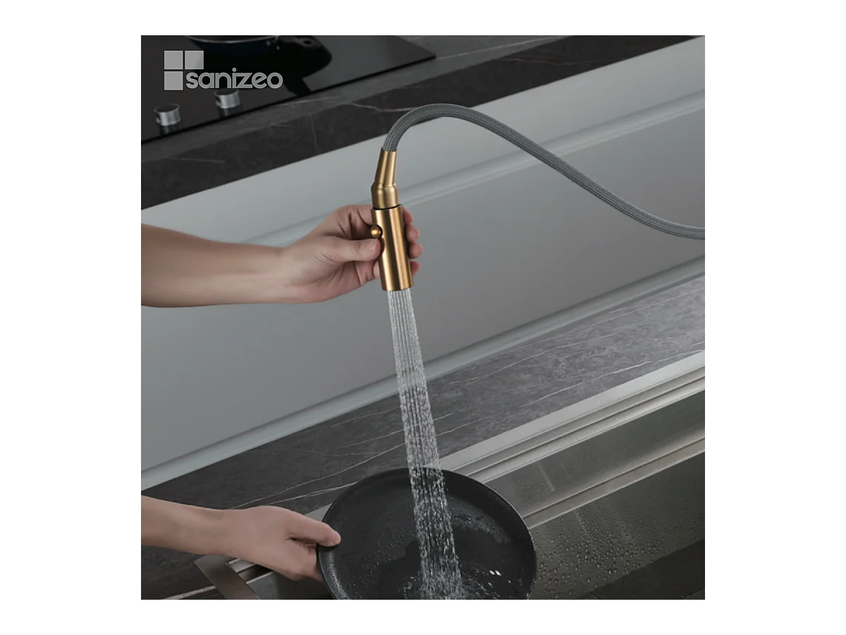 Mitigeur Évier Cuisine avec douchette extractible or brossé - Design moderne – NIZA IMEX