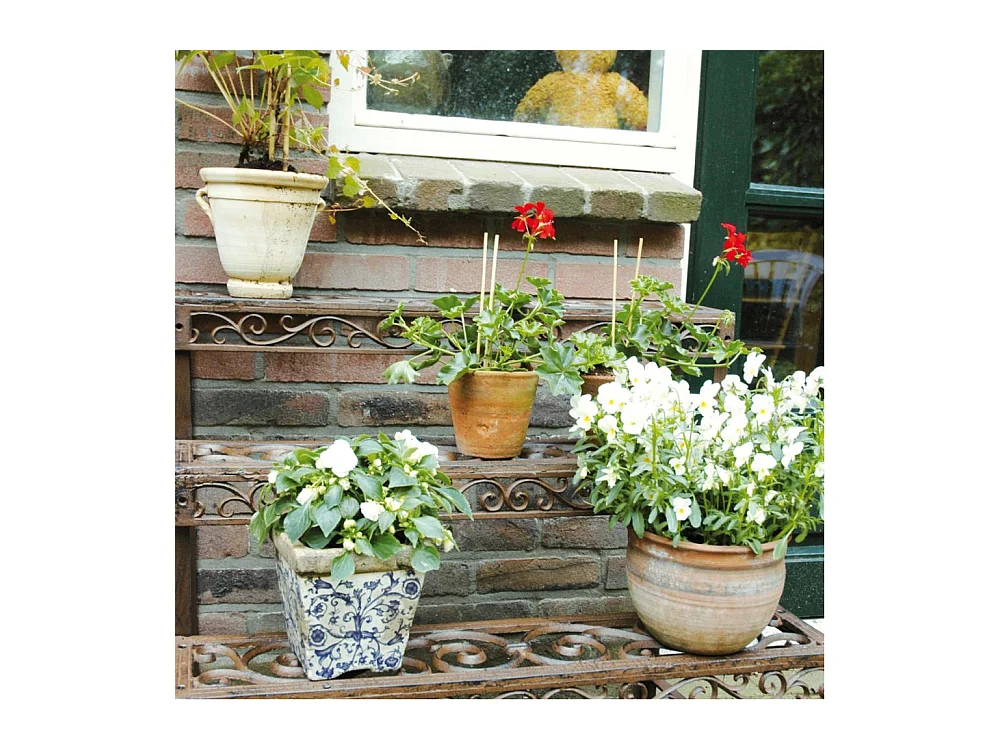 Pflanzentreppe aus patiniertem Metall Arabesque