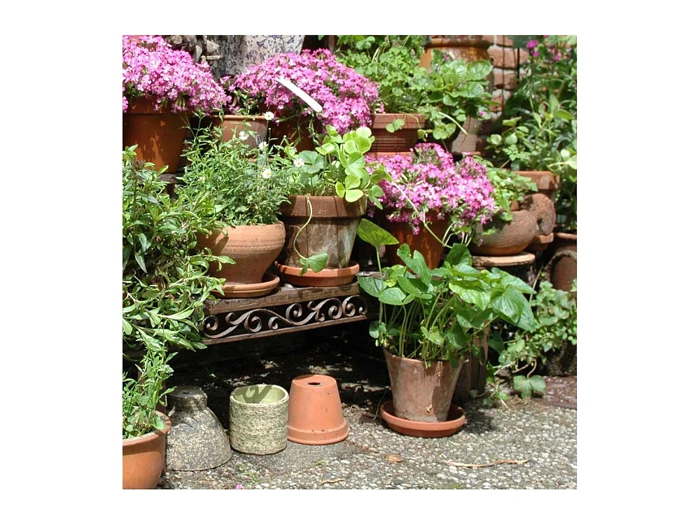 Pflanzentreppe aus patiniertem Metall Arabesque