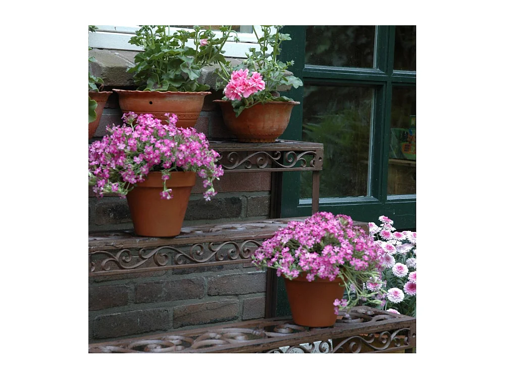 Pflanzentreppe aus patiniertem Metall Arabesque