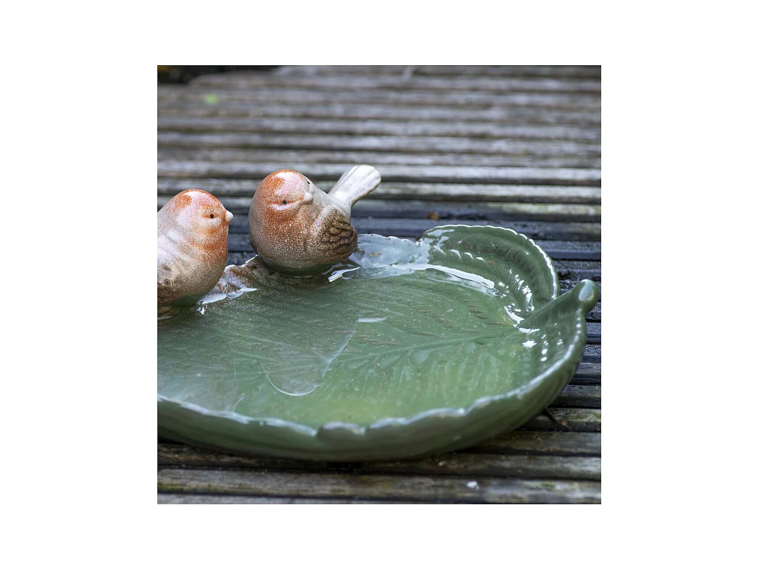 Bain oiseau en grès Nature Oiseaux bruns