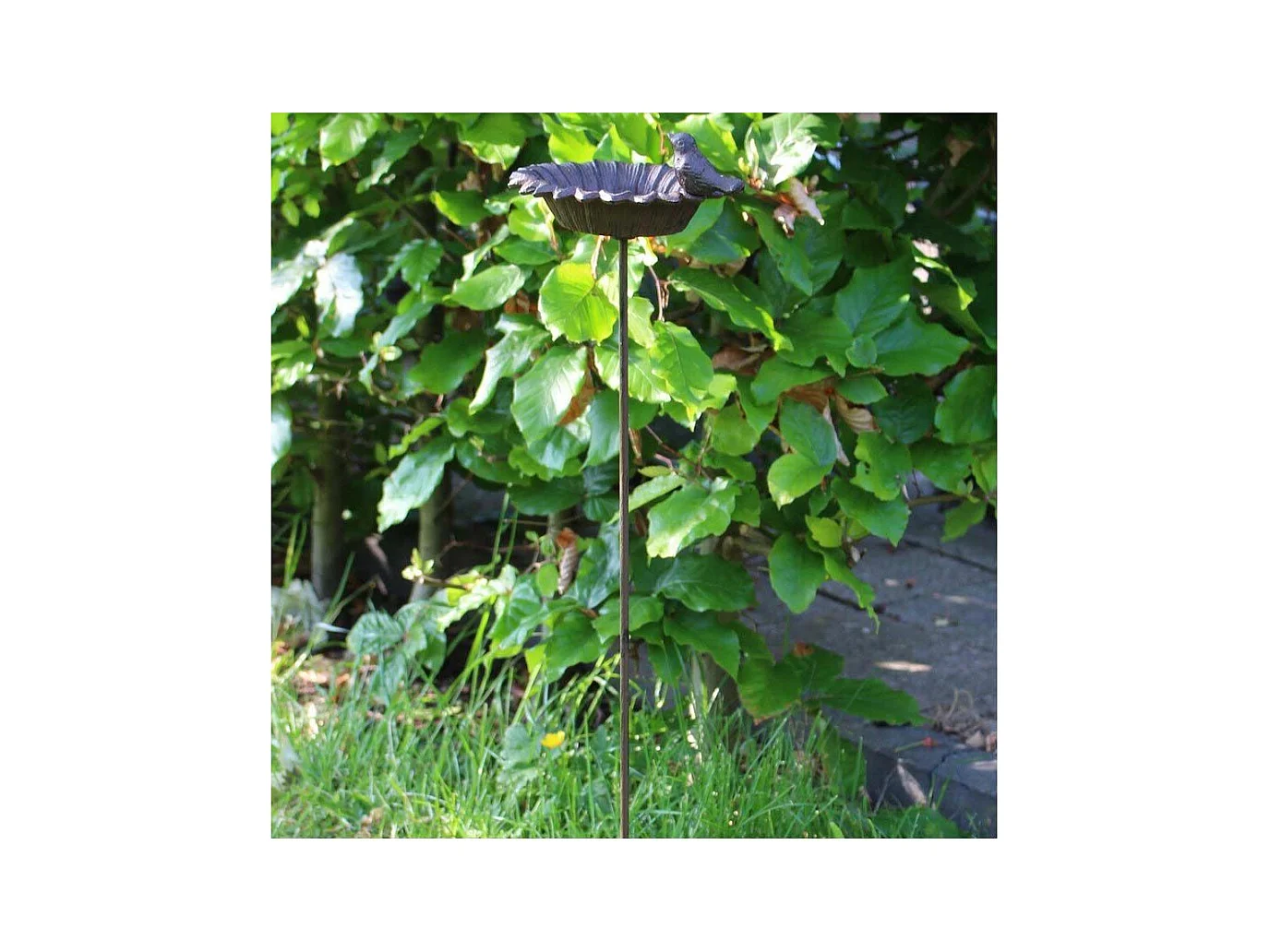 Petit bain oiseaux à planter