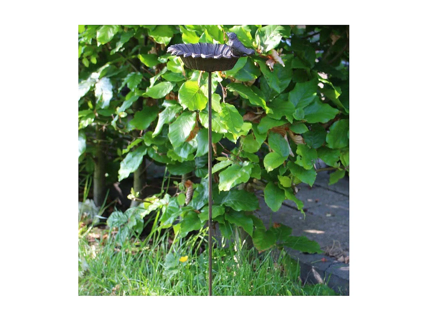 Petit bain oiseaux à planter