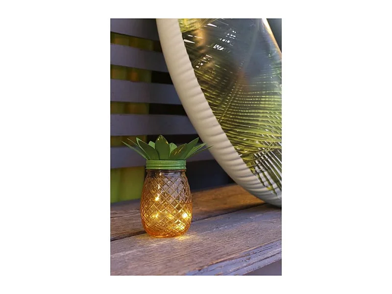 Ananas solaire - GALIX