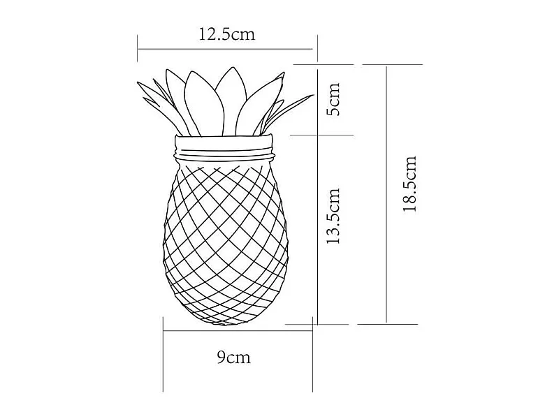 Ananas solaire - GALIX