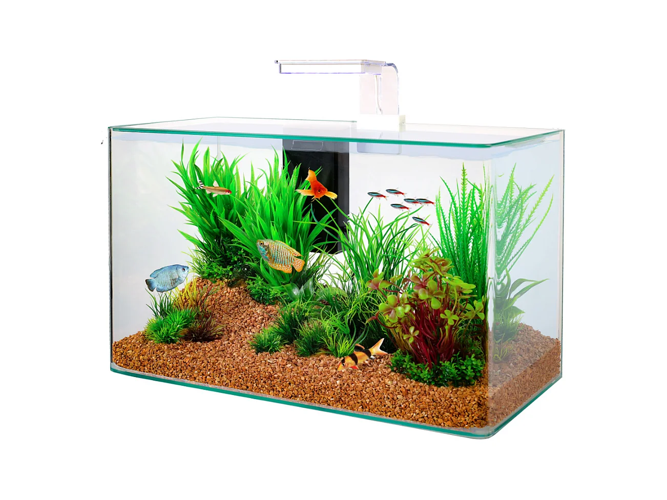Kit aquarium Aqua clear 50 Blanc