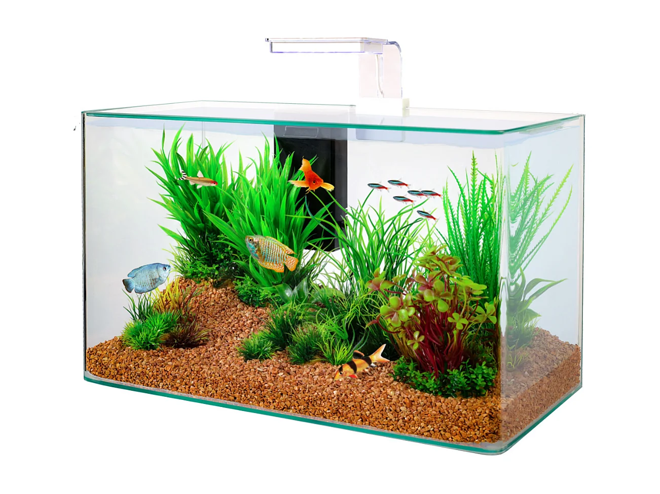 Kit acquario Aqua clear 50