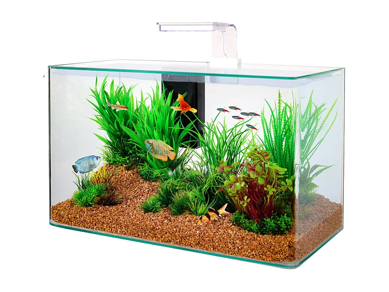 Kit aquarium Aqua clear 50 Blanc