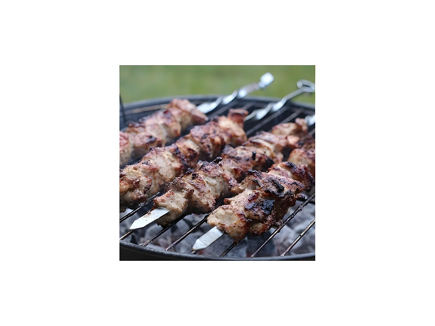 Pinchos de acero inoxidable para barbacoa (Juego de 6)