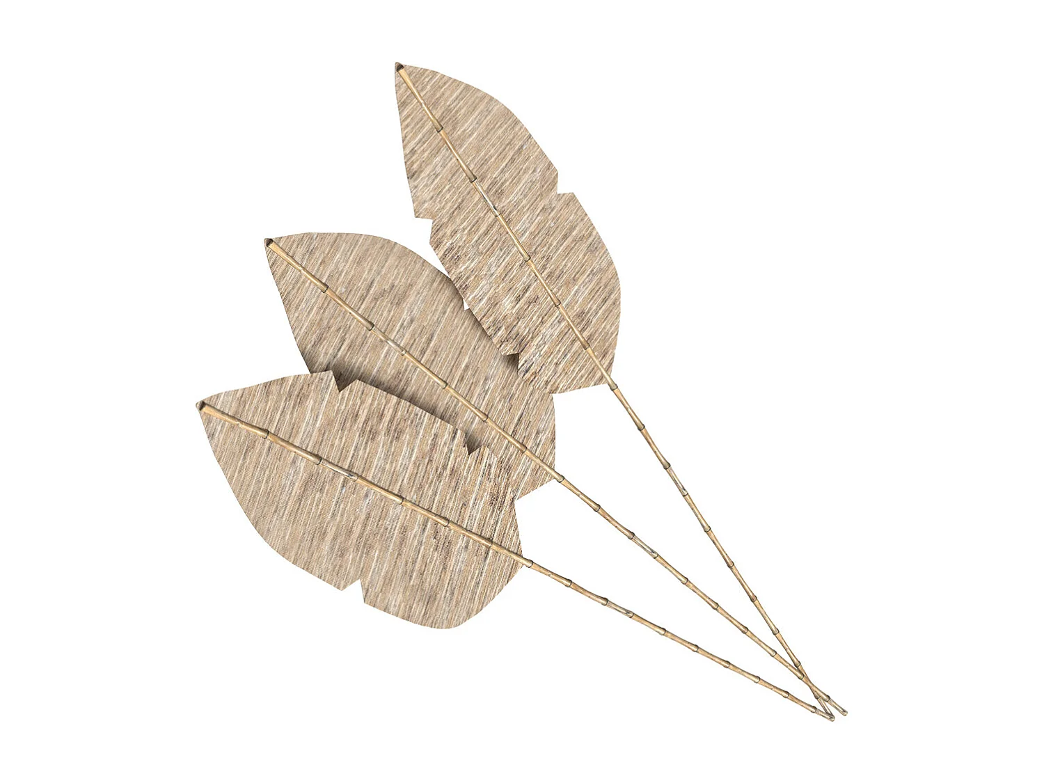 Lot de 3 palmes en jacinthe d'eau et bambou - Major