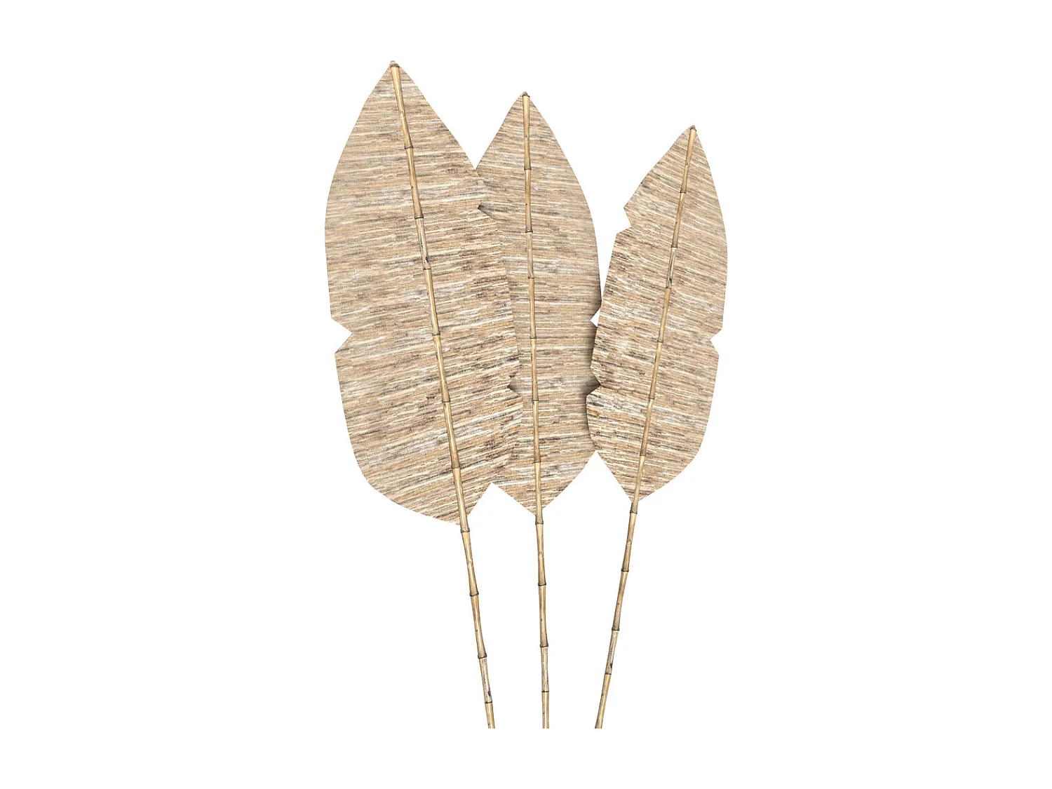 Lot de 3 palmes en jacinthe d'eau et bambou - Major