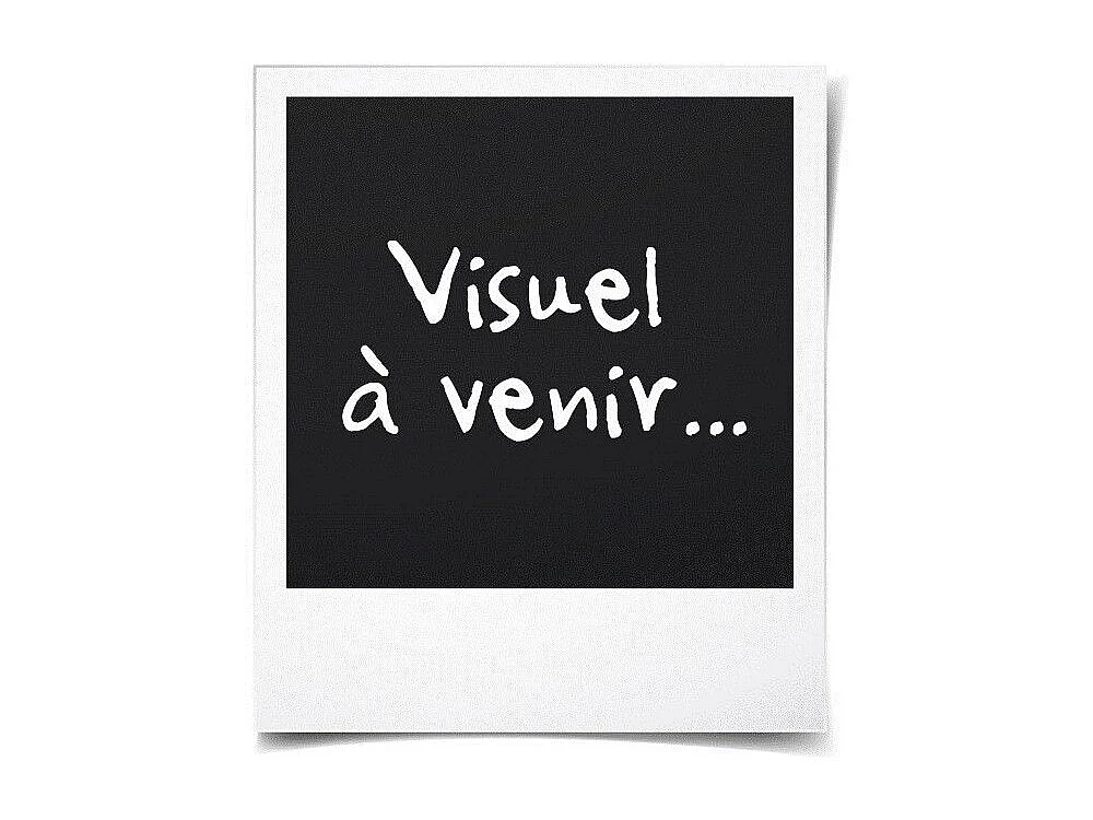 Draadloze grasmaaier BLACK & DECKER BCMW3336L1-QW - 36V - 33 cm - 2,5Ah - Mulching