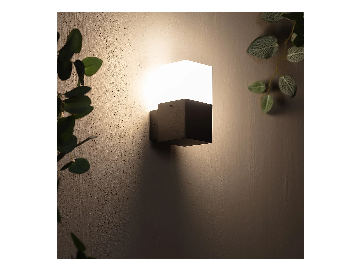 Applique da Parete per Esterni Alluminio Domus Nero