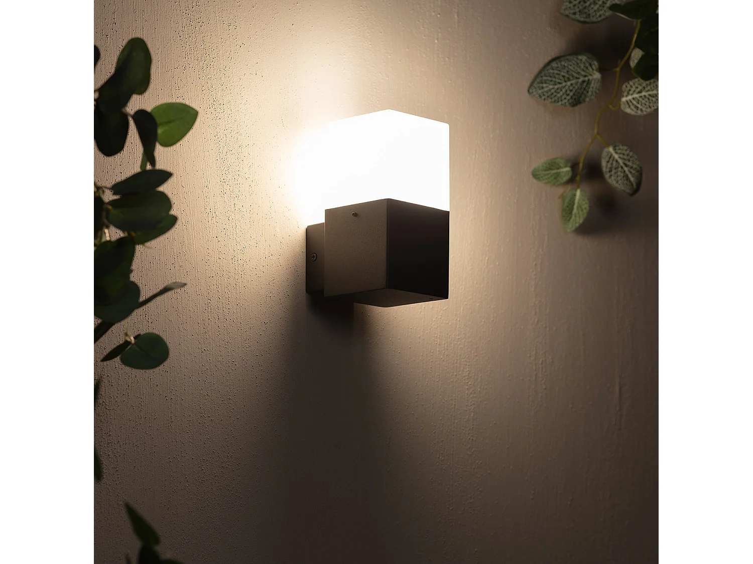 Applique Murale Extérieure Aluminium Domus Noire