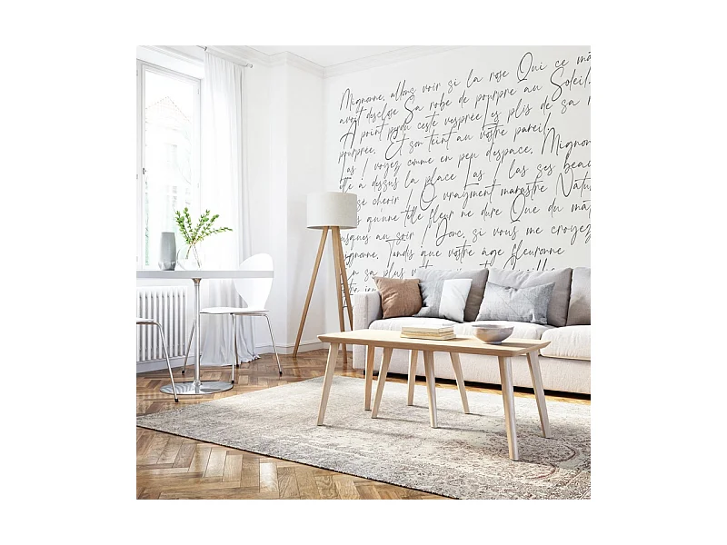 Papier peint panoramique - Ronsard - Noir - intissé : 150g/m² - 9 lés : 432x270cm