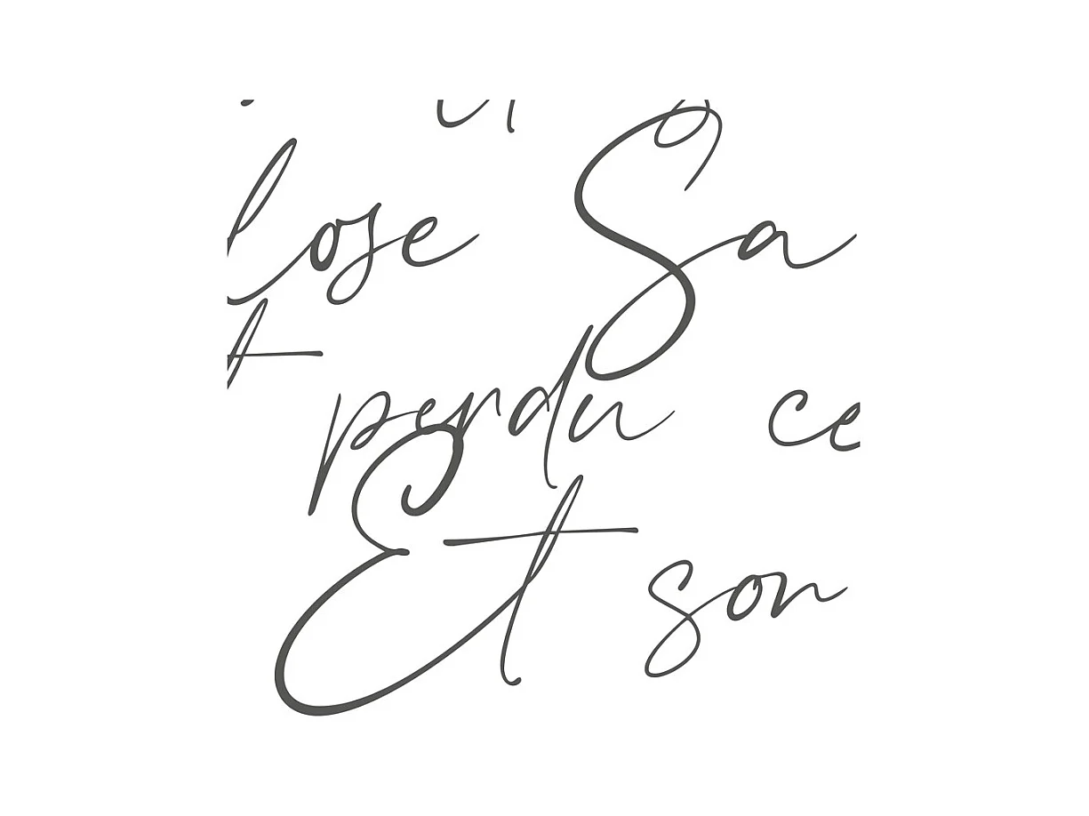 Papier peint panoramique - Ronsard - Noir - intissé : 150g/m² - 9 lés : 432x270cm