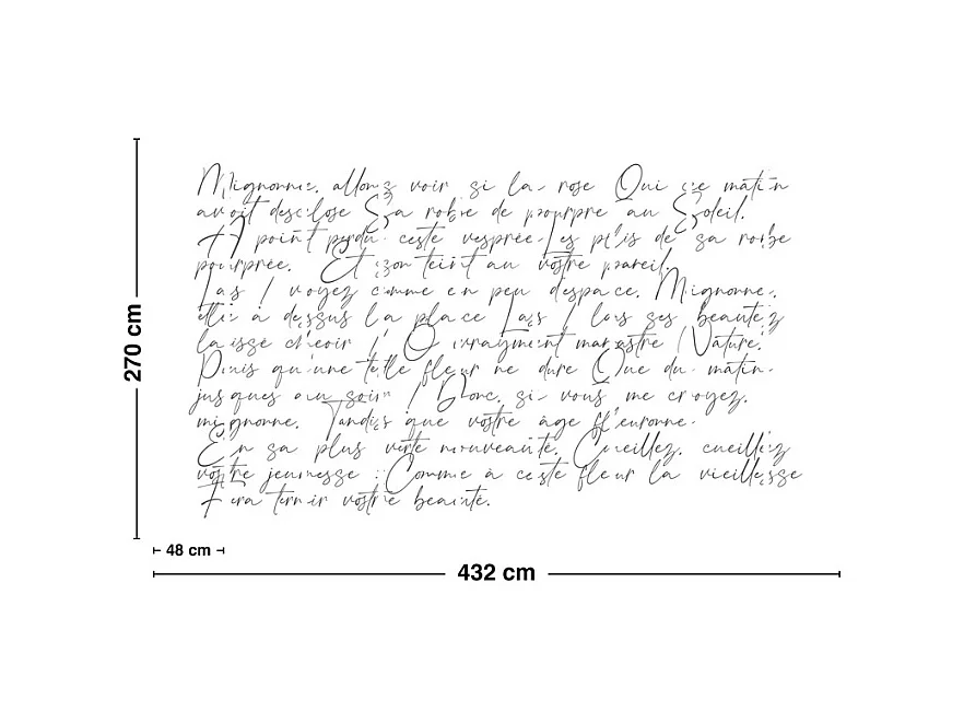 Papier peint panoramique - Ronsard - Noir - intissé : 150g/m² - 9 lés : 432x270cm