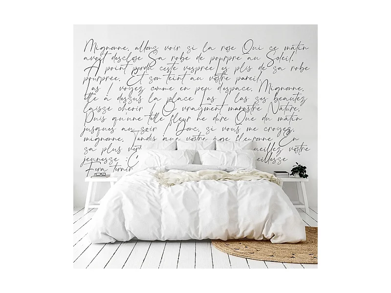 Papier peint panoramique - Ronsard - Noir - intissé : 150g/m² - 9 lés : 432x270cm