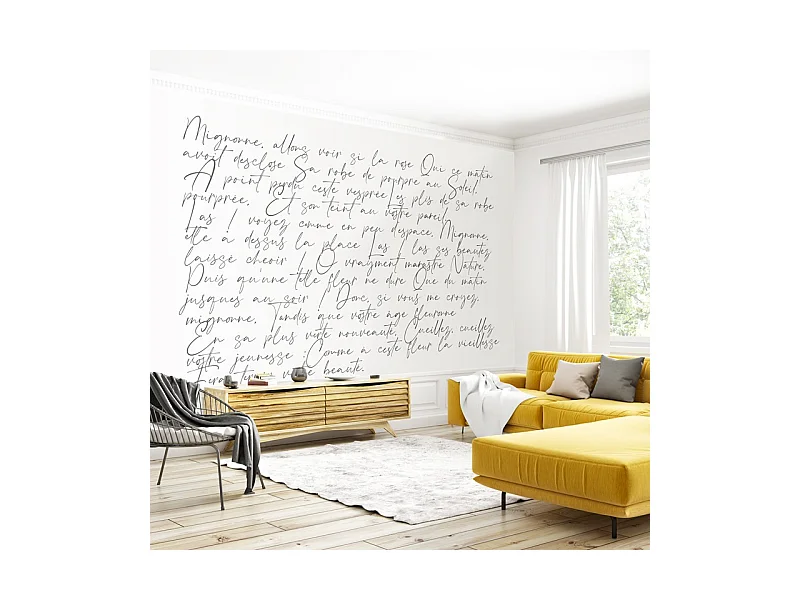 Papier peint panoramique - Ronsard - Noir - intissé : 150g/m² - 9 lés : 432x270cm