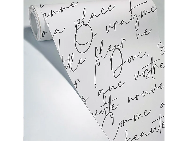 Papier peint panoramique - Ronsard - Noir - intissé : 150g/m² - 9 lés : 432x270cm