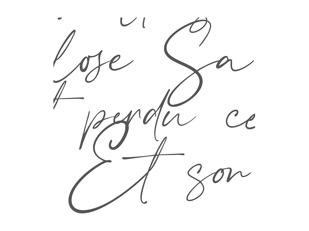 Papier peint panoramique - Ronsard - Noir - intissé : 150g/m² - 9 lés : 432x270cm