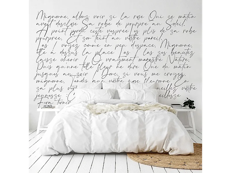 Papier peint panoramique - Ronsard - Noir - intissé : 150g/m² - 9 lés : 432x270cm