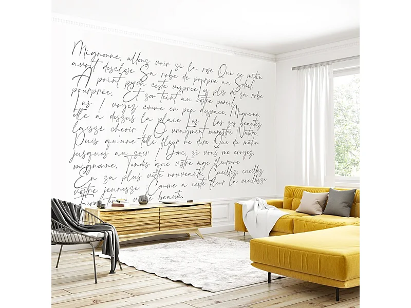 Papier peint panoramique - Ronsard - Noir - intissé : 150g/m² - 9 lés : 432x270cm