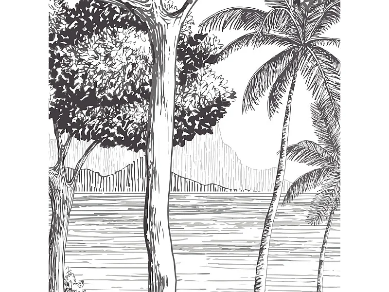 Papier peint panoramique - La Plage - Noir - intissé : 150g/m² - 9 lés : 432x270cm