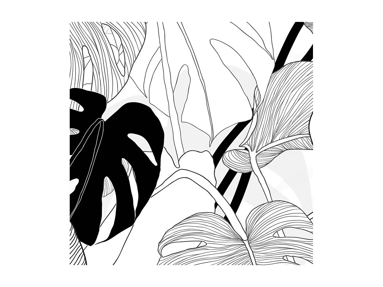 Papier peint panoramique - Bornéo - Noir - intissé : 150g/m² - 7 lés : 336x270cm