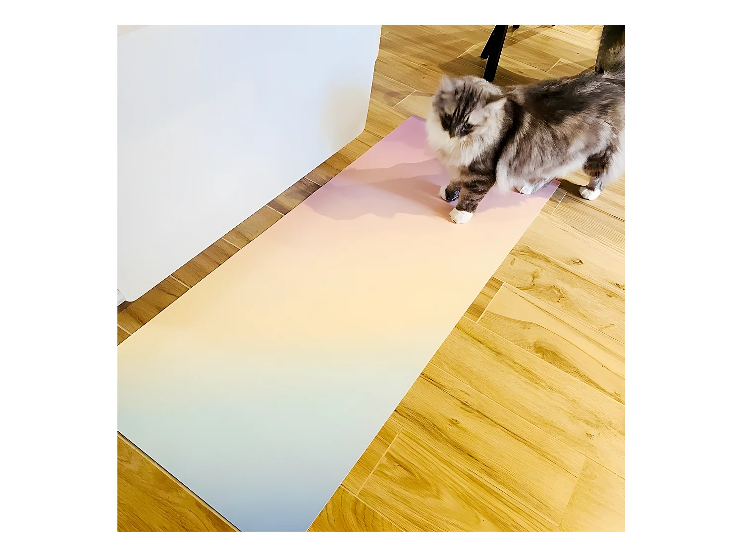 Tapis Vinyle Médium l 50xL120cm - Rainbow - Vinyle