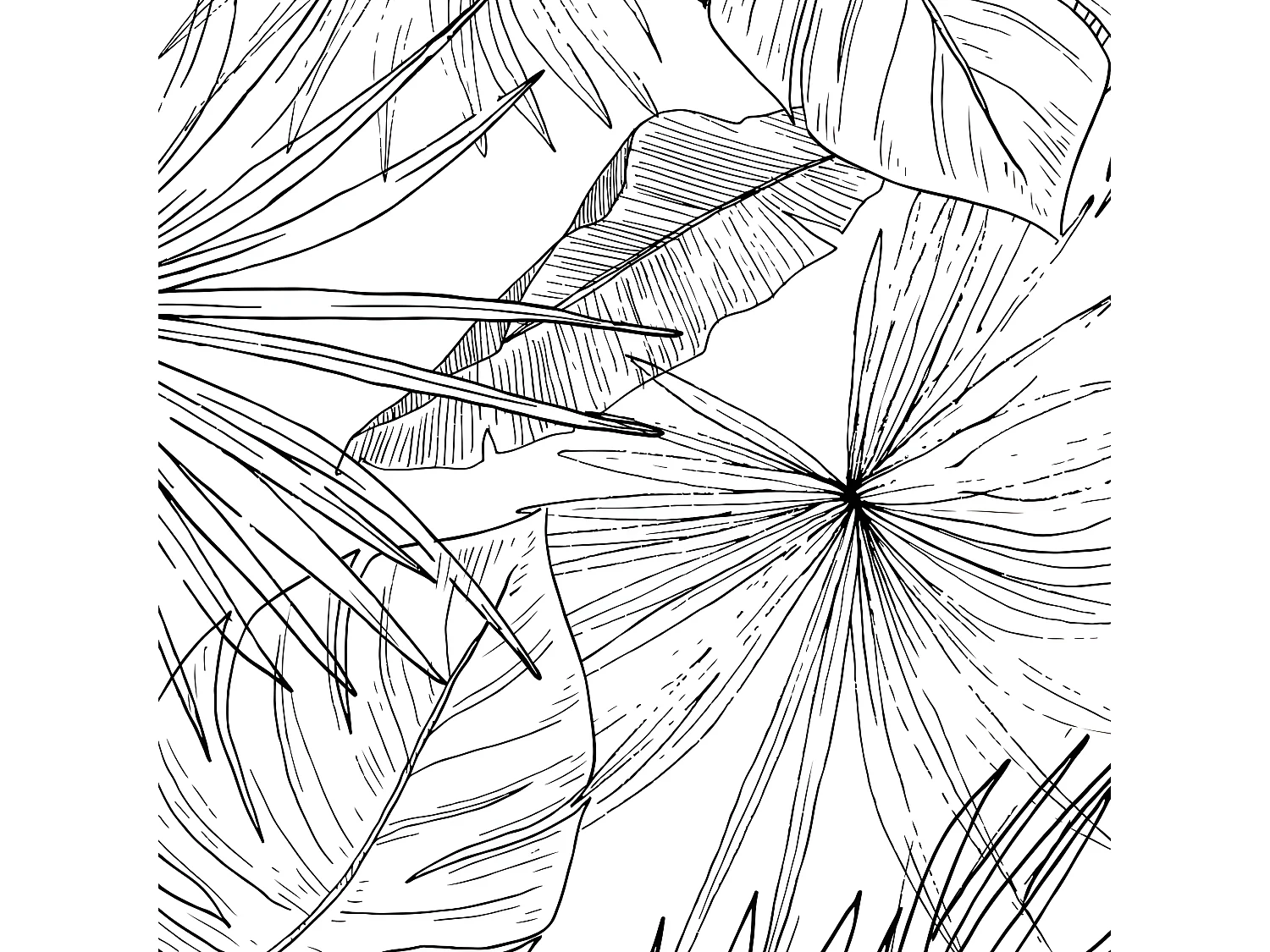 Lot de 4 sets de table L 40xl 30cm - Lämnar Svart - Vinyle