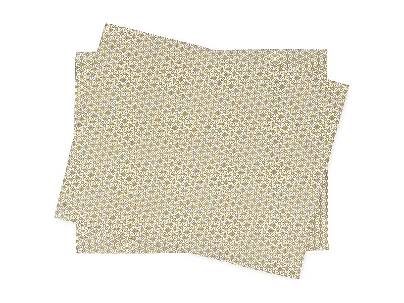 Lot de 2 set de table 35x45 cm SAKI or