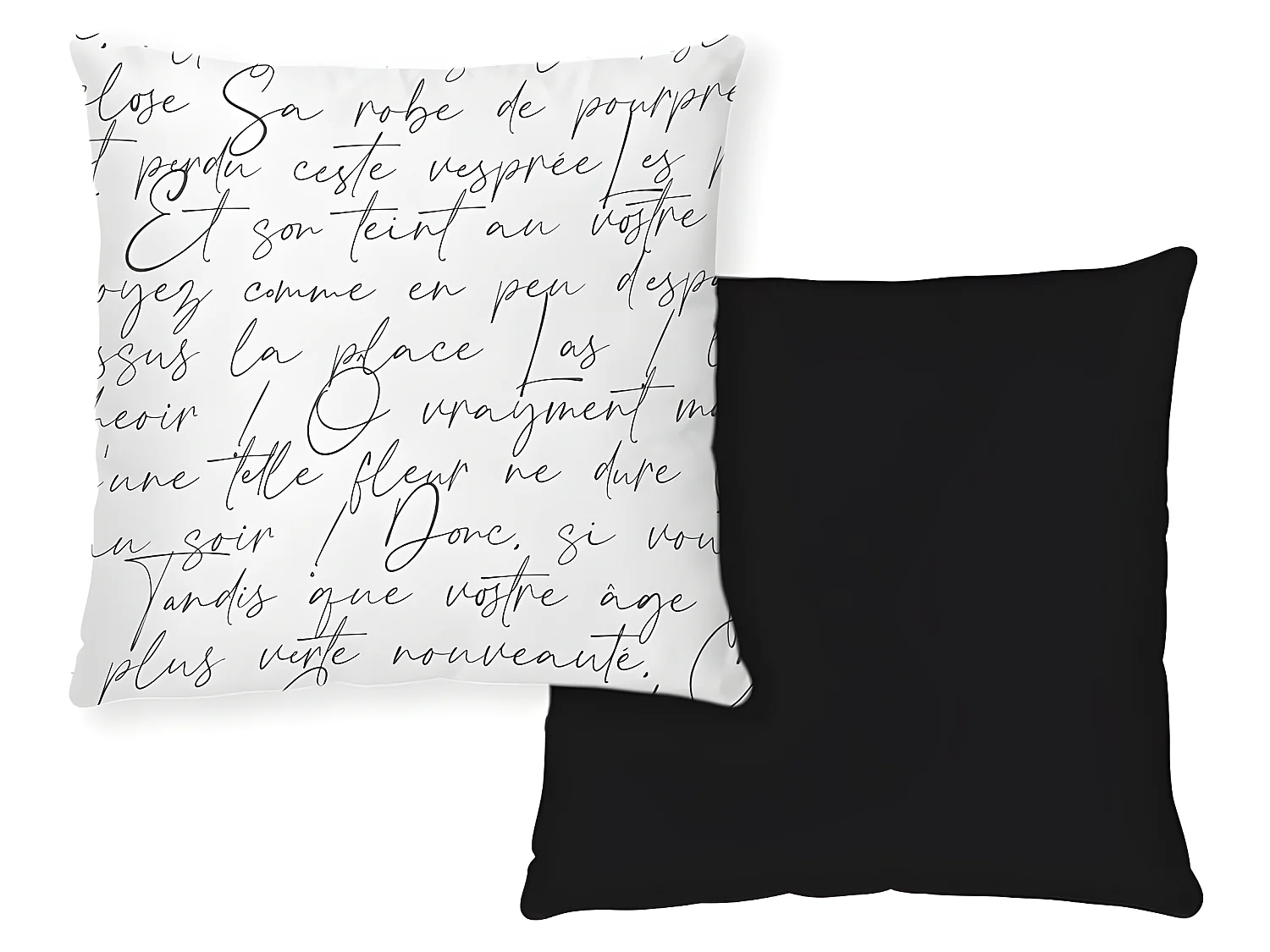 Coussin 40x40cm - RONSARD