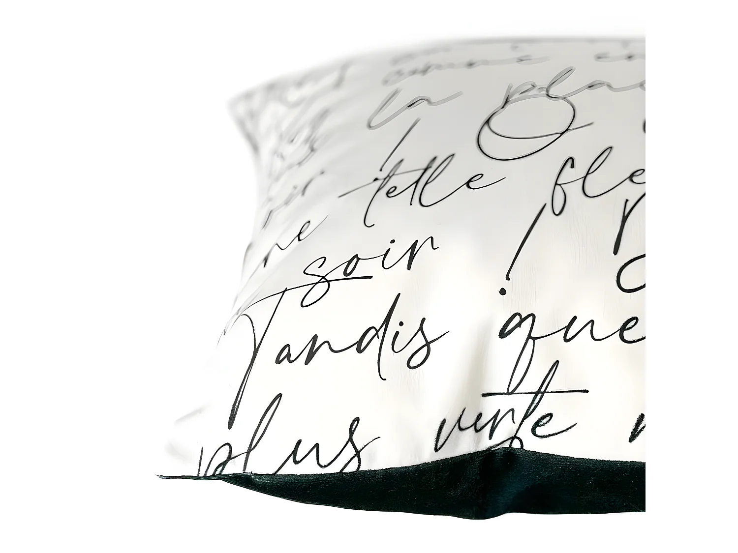 Coussin 40x40cm - RONSARD