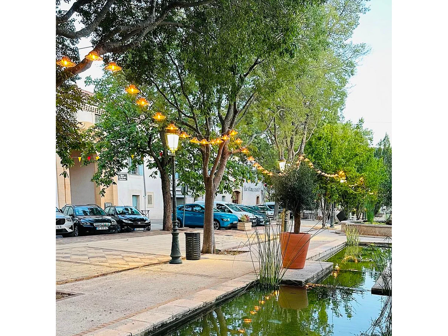 Guirlande lumineuse MOOREA Beige Jonc de mer 6m