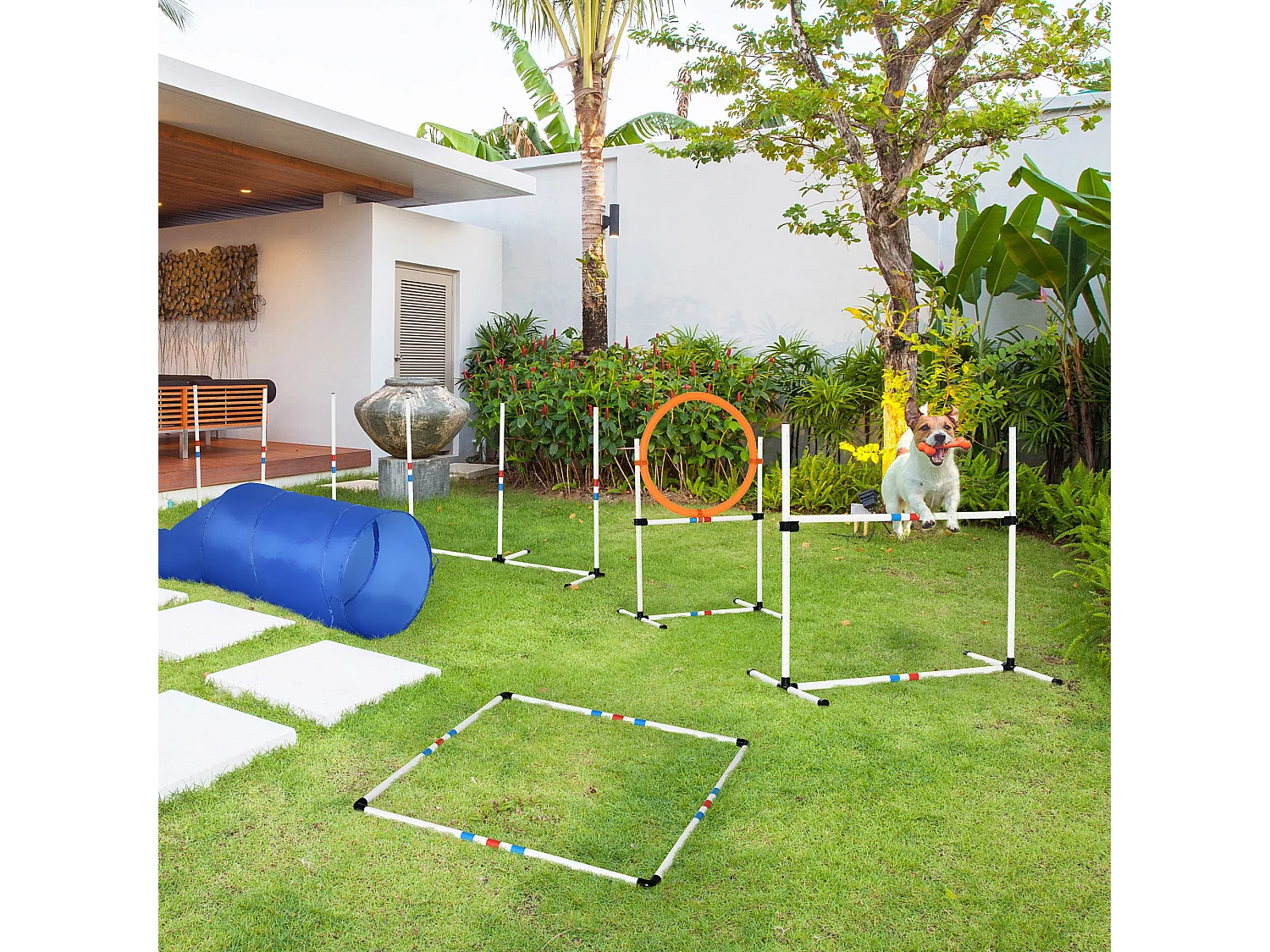Conjunto de entrenamiento para mascotas blanco y azul 328x65x94.5 cm PawHut