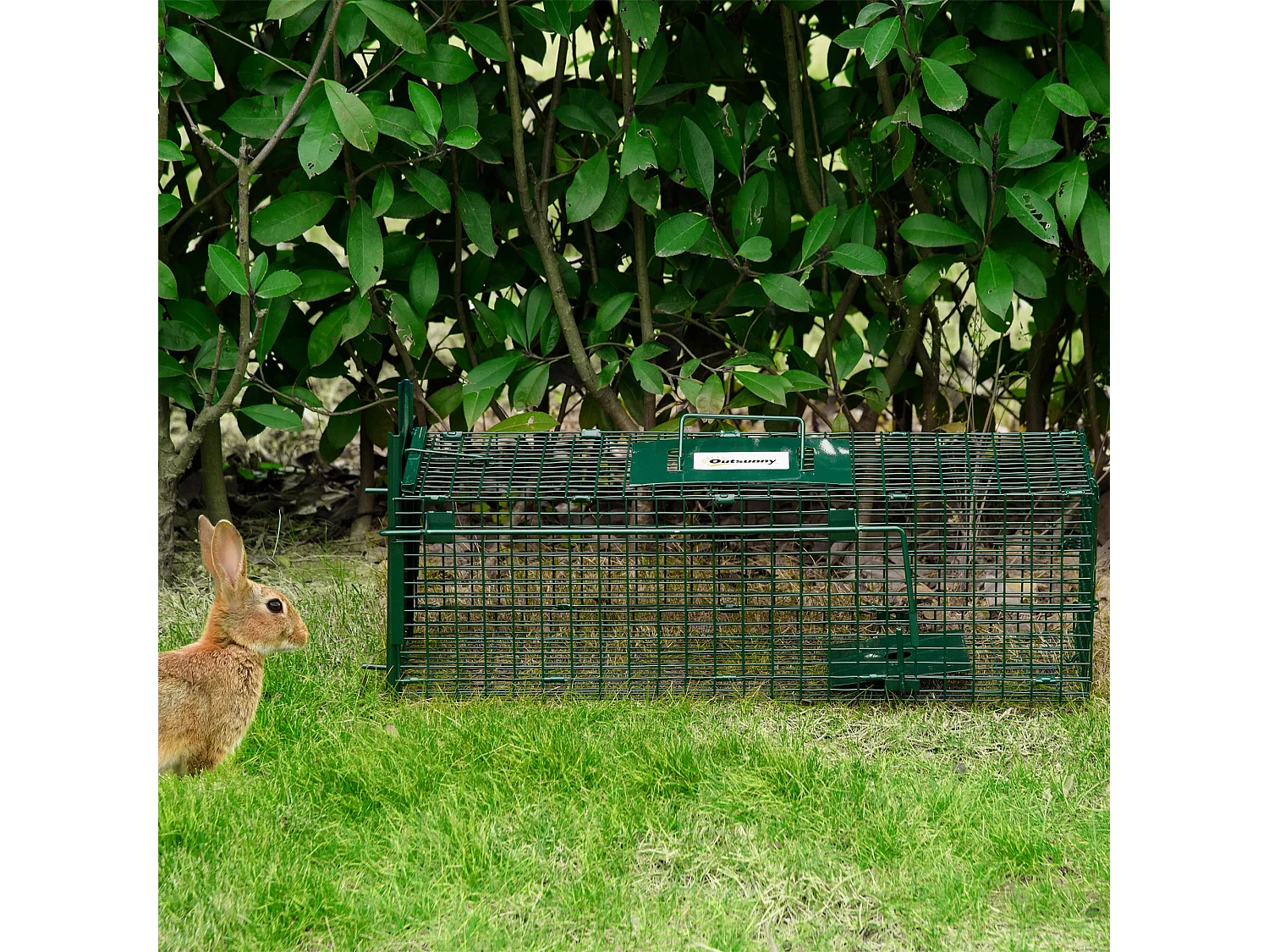 Trampa para animales verde 60x18x20 cm Outsunny