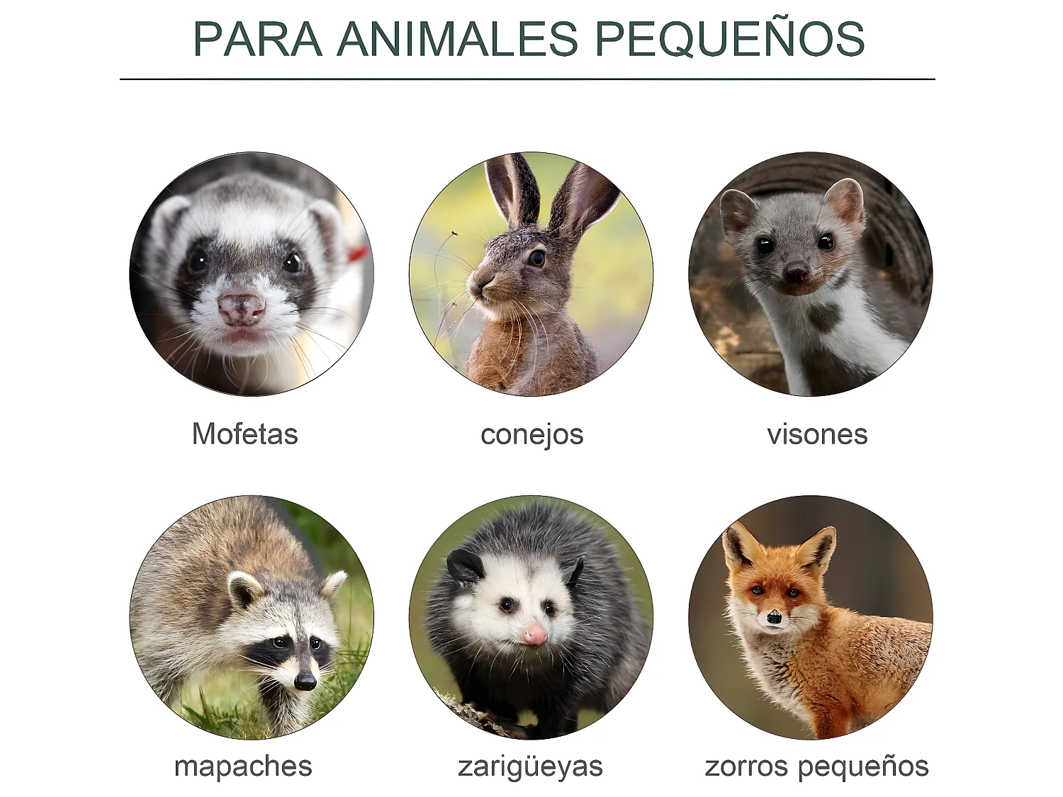 Trampa para animales verde 60x18x20 cm Outsunny